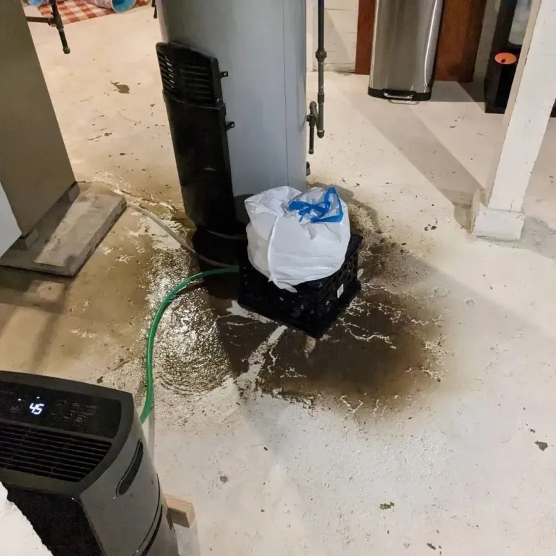 Sewage Backup Cleanup Service in Kermit, TX